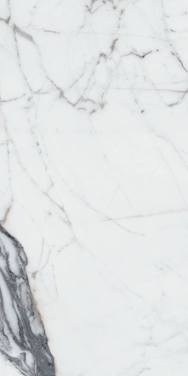 Origines Argent Matte 24 x 48
